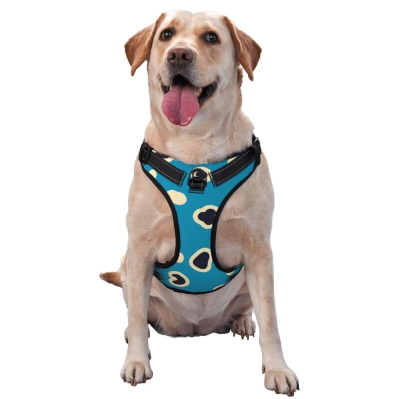 Pet's traction vest