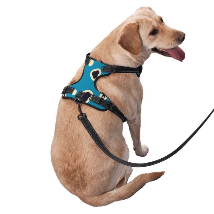 Pet's traction vest